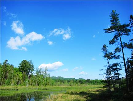 Adirondack Wetlands: Heron Marsh at the Paul Smiths VIC